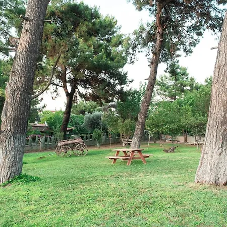 Kaan Vila